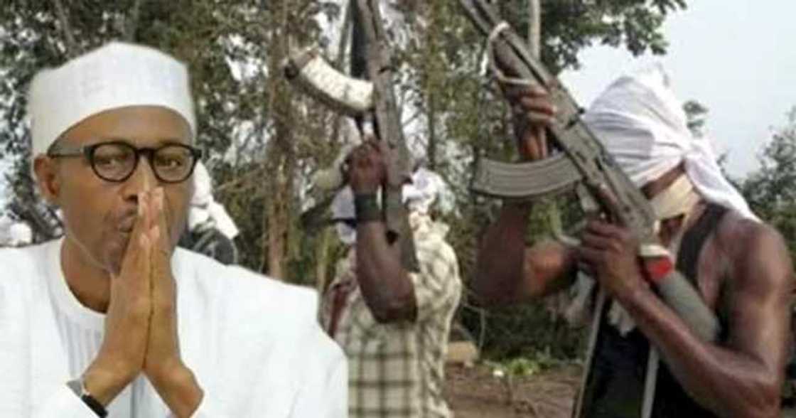 Group tells PMB to talk with ND Avengers reps and not MEND Group tells PMB to talk with ND Avengers reps and not MEND