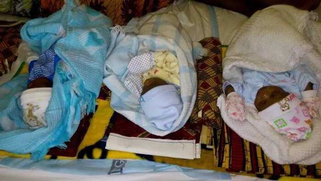 Ta haifi yan uku bayan kwashe shekaru 29 bata haihu ba Ta haifi yan uku bayan kwashe shekaru 29 bata haihu ba