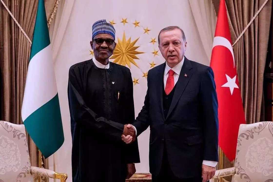 Buhari ya ziyarci kabarin wanda ya kafa kasar Turkiyya, ya kuma gana da Erdogan (hotuna)