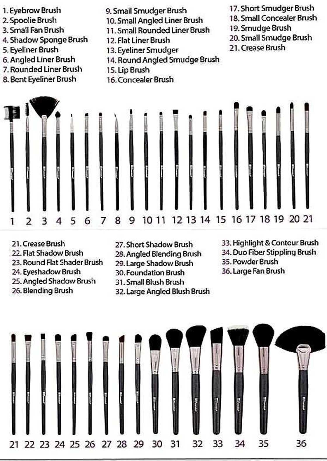 Diversity of brushes Diversity of brushes