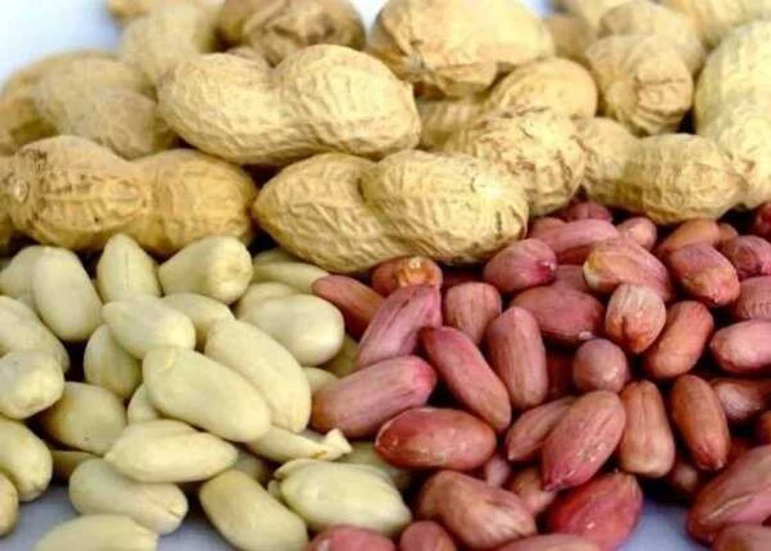 Selection of groundnut