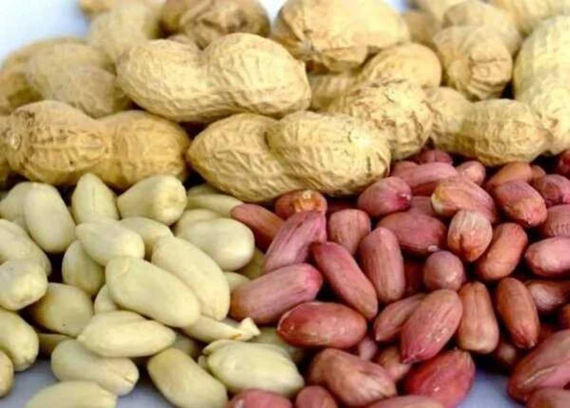 Selection of groundnut Selection of groundnut