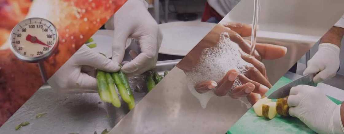 Importance of food safety and sanitation Importance of food safety and sanitation