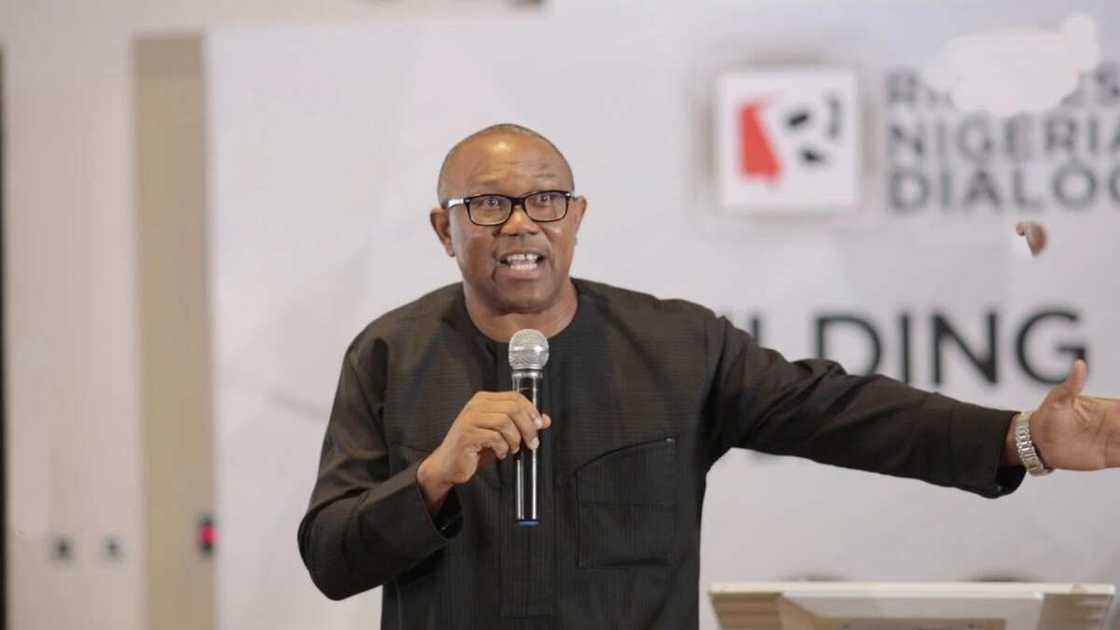 2023 Election, Peter Obi, PDP, Presidential Bid