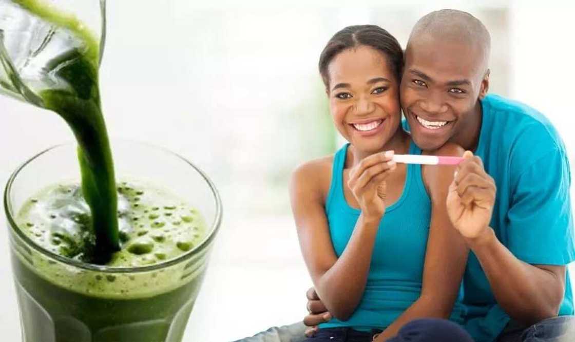 Effect of bitter leaf on fertility Effect of bitter leaf on fertility