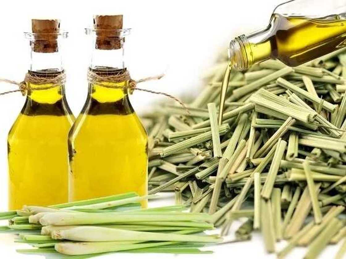 lemongrass oil bottles