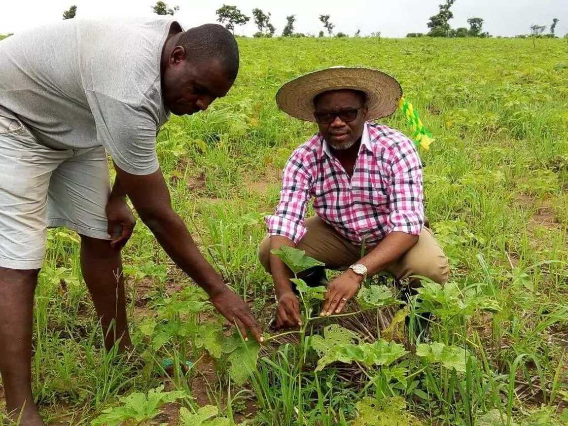 Yadda kubewa ta ke kashe kwayoyin haihuwa Yadda kubewa ta ke kashe kwayoyin haihuwa