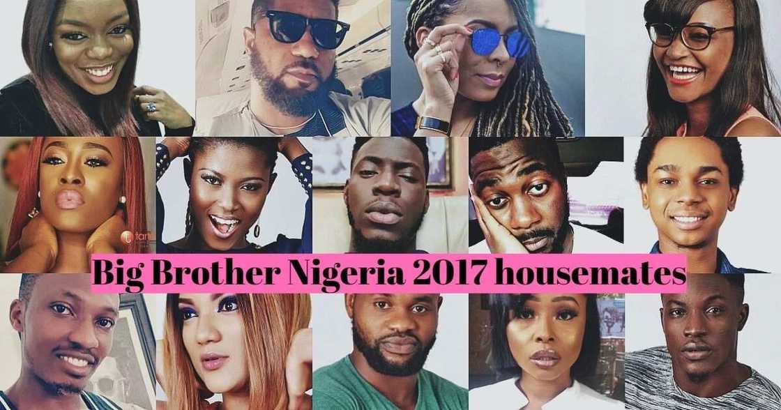 Big Brother Nigeria 2017 housemates