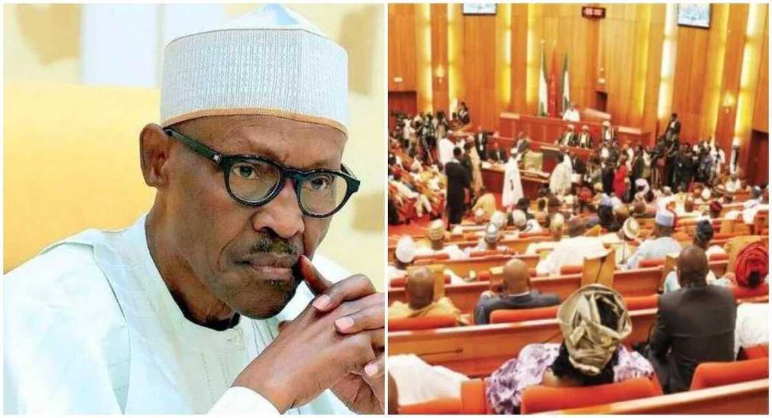 Sanata ya matsa game da shawarar tsige Buhari Sanata ya matsa game da shawarar tsige Buhari