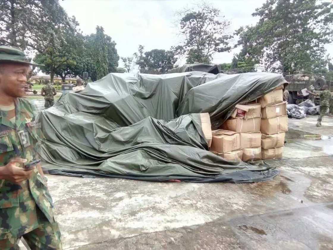 Exercise crocodile has this SECRET mission (photos) Exercise crocodile has this SECRET mission (photos)