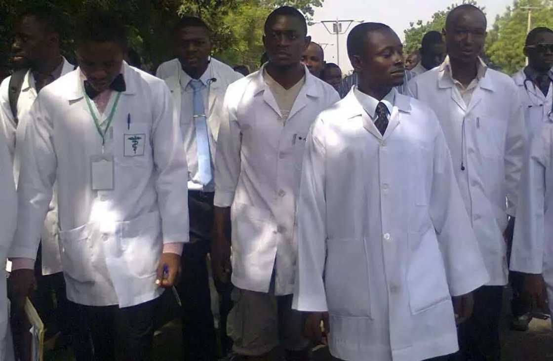 School of Health Technology Kano courses School of Health Technology Kano courses