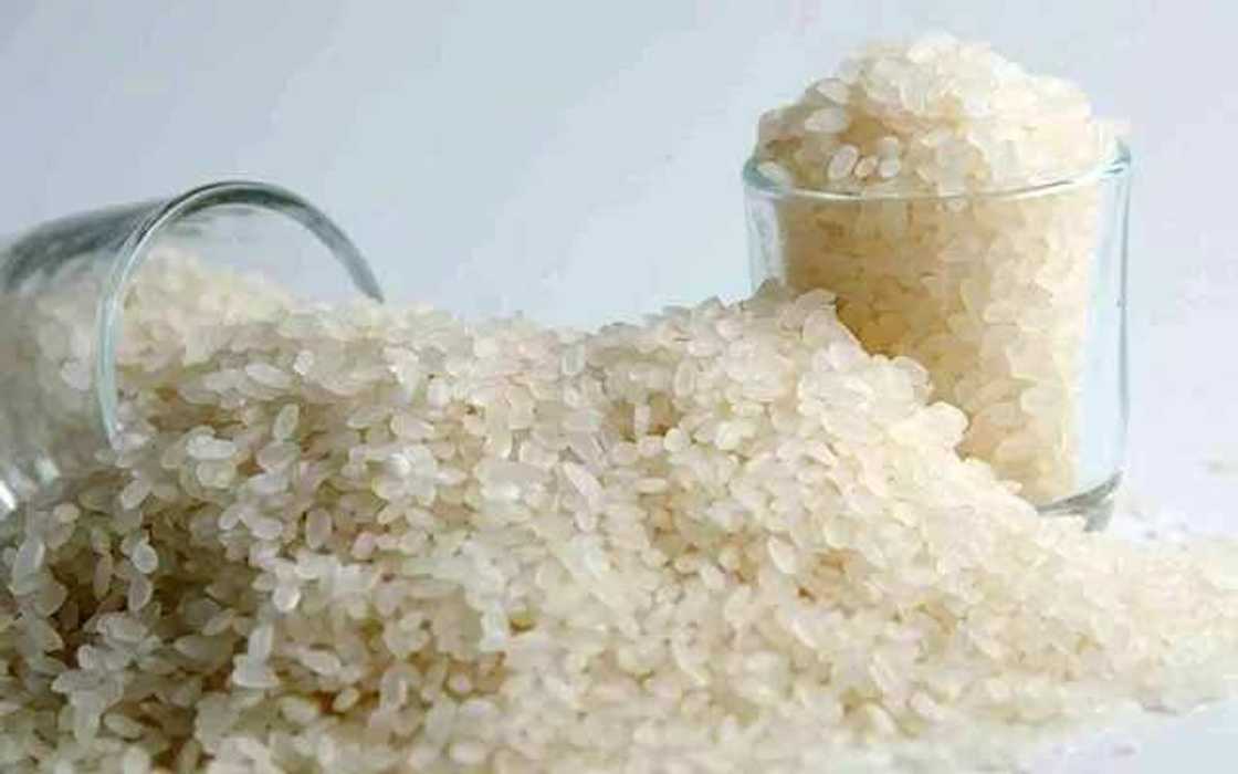 Camolino rice Camolino rice