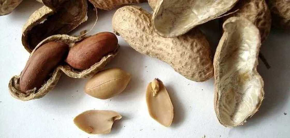 Is there a difference between peanut and groundnut? Is there a difference between peanut and groundnut?
