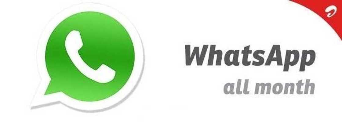 Airtel WhatsApp plan: subscription, cancellation and balance check Airtel WhatsApp plan: subscription, cancellation and balance check