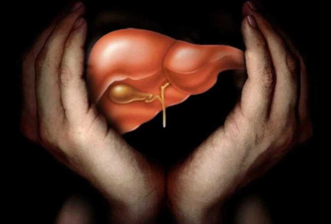 Kalar abubuwa 7 da suke bawa Hanta matsala, na 7 mutane da yawa na sha Kalar abubuwa 7 da suke bawa Hanta matsala, na 7 mutane da yawa na sha