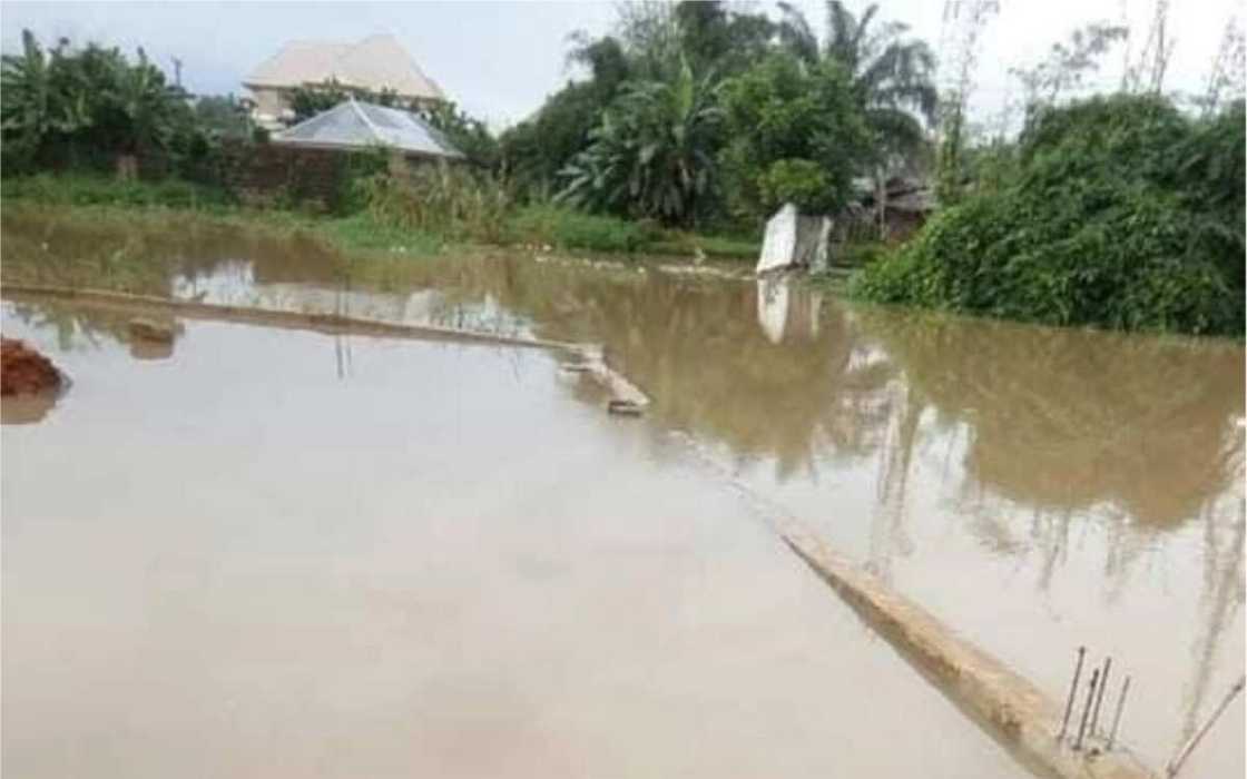 Jerin jihohin da ambaliyar ruwa zai shafa a wannan shekarar Jerin jihohin da ambaliyar ruwa zai shafa a wannan shekarar
