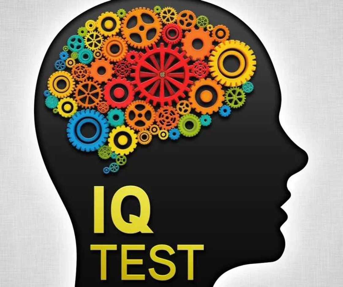 Highest IQ Highest IQ