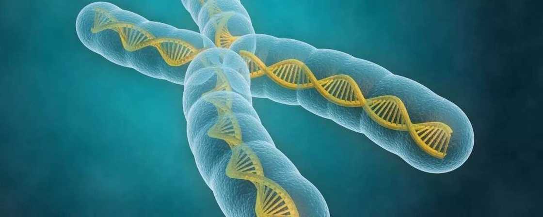 AS genotype symptoms AS genotype symptoms