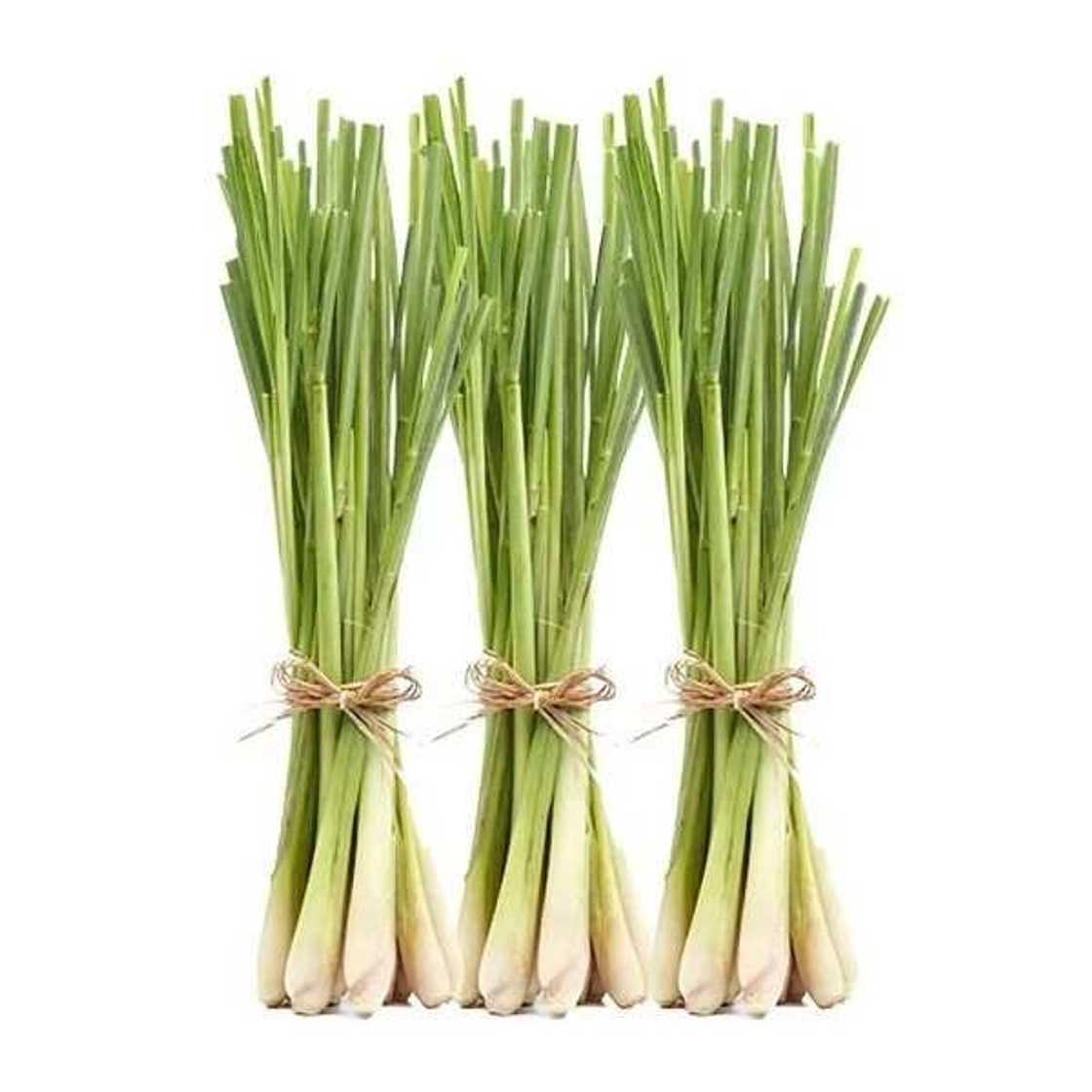 fresh lemongrass