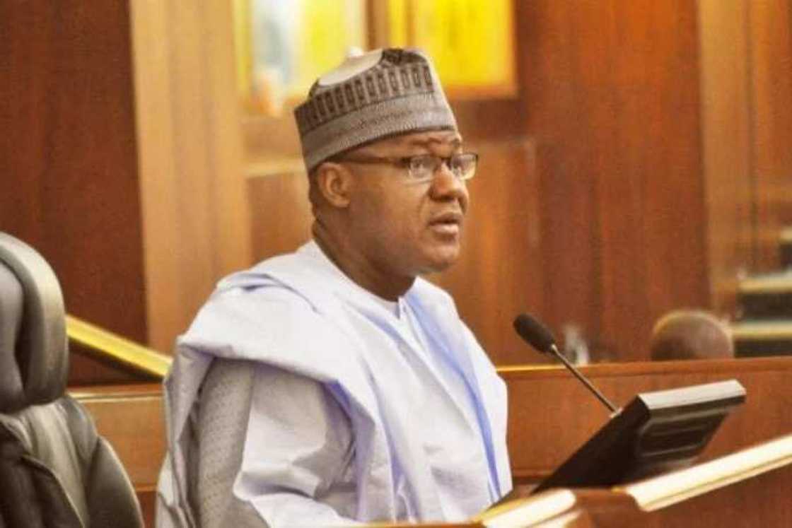 Yakubu Dogara, APC, Bola Tinubu, Kashim Shettima, 2023 presidential election Yakubu Dogara, APC, Bola Tinubu, Kashim Shettima, 2023 presidential election
