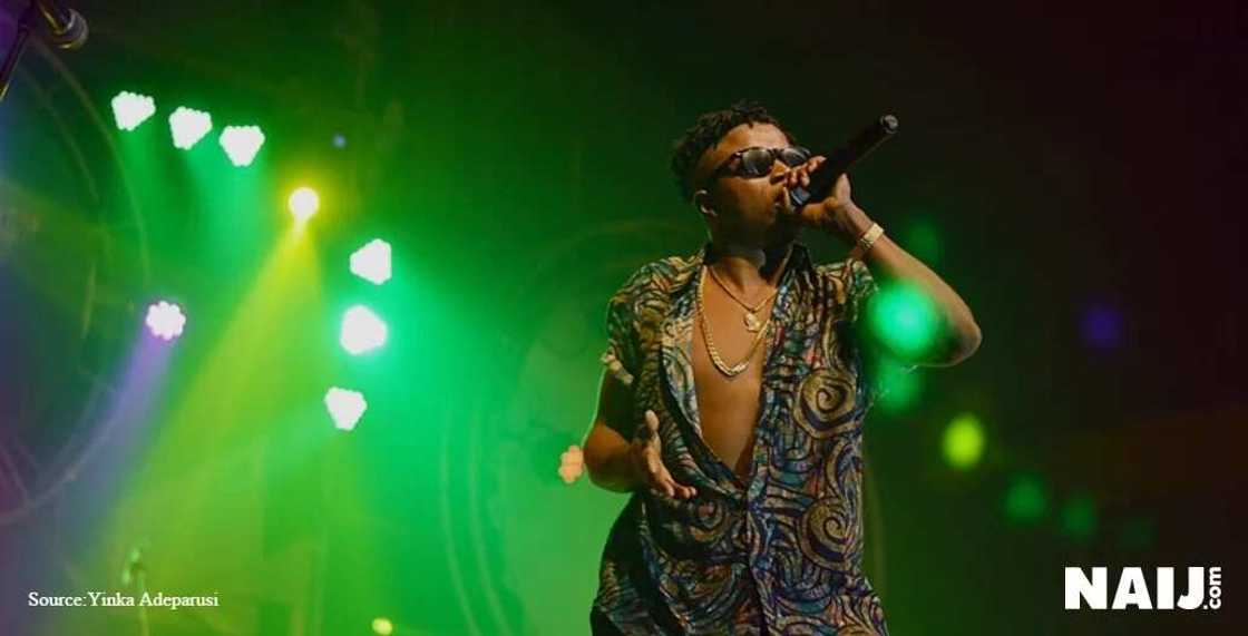 Artist Collapses On Stage During Performance At Felabration