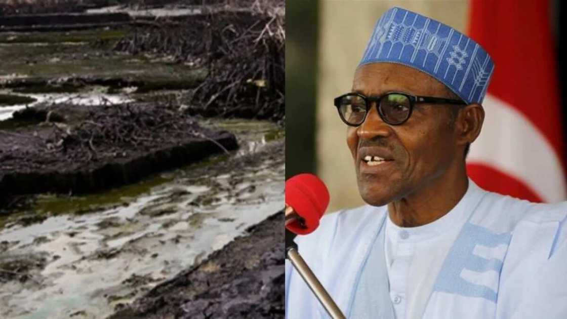 The youth leaders are expected to come with a position that will serve as the blue print of the region's demand in the scheme of things in the country The youth leaders are expected to come with a position that will serve as the blue print of the region's demand in the scheme of things in the country