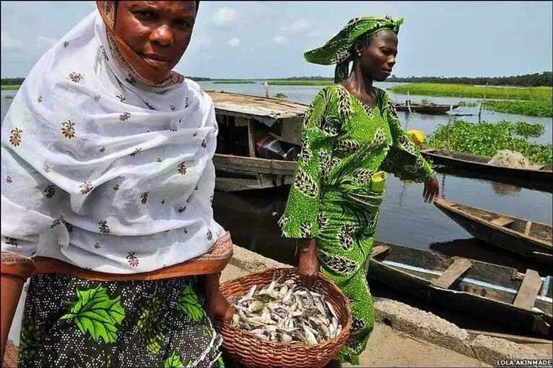 Jihohi 6 da suke cin moriyar tattalin arziki Jihohi 6 da suke cin moriyar tattalin arziki