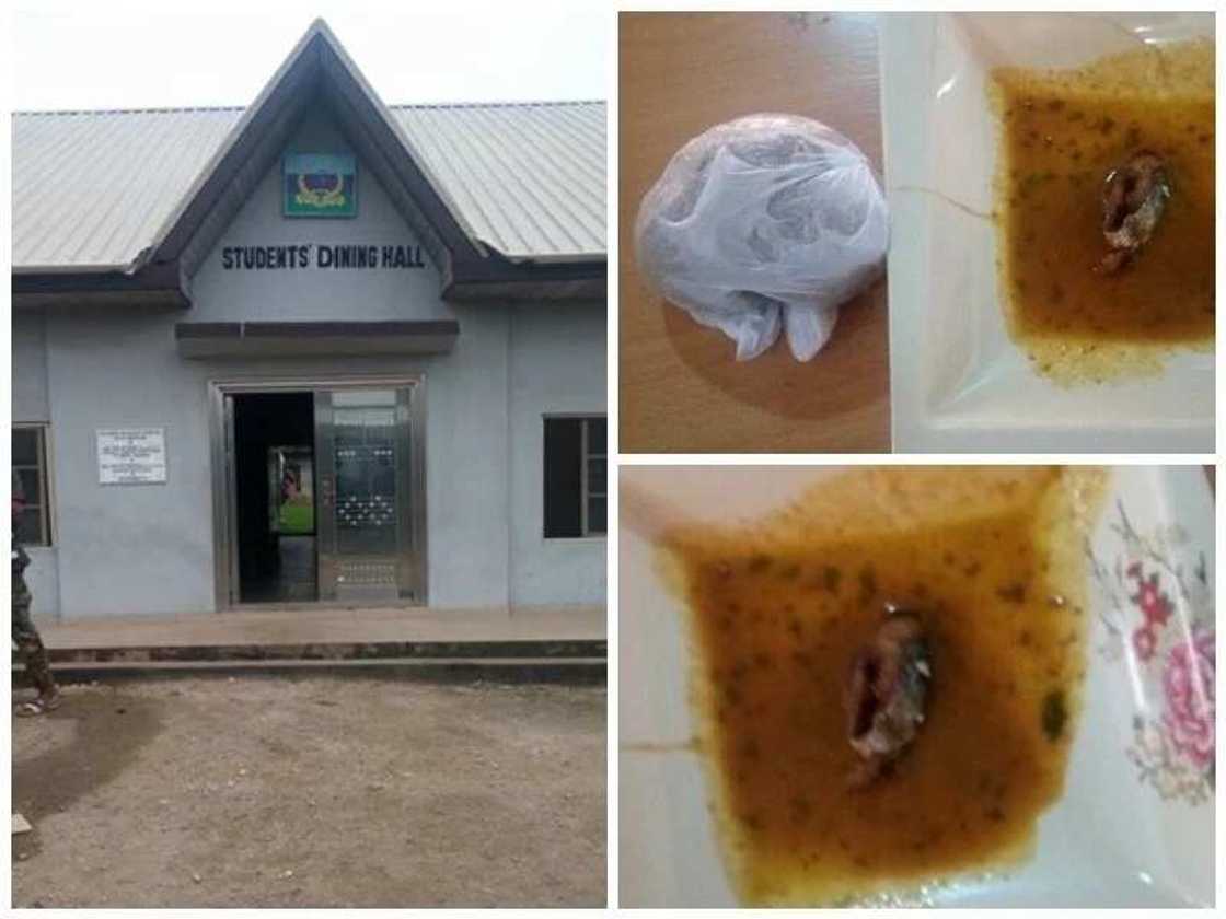 Dubi irin abincin da sojoji ke ci a makarantar sojoji (hotuna) Dubi irin abincin da sojoji ke ci a makarantar sojoji (hotuna)