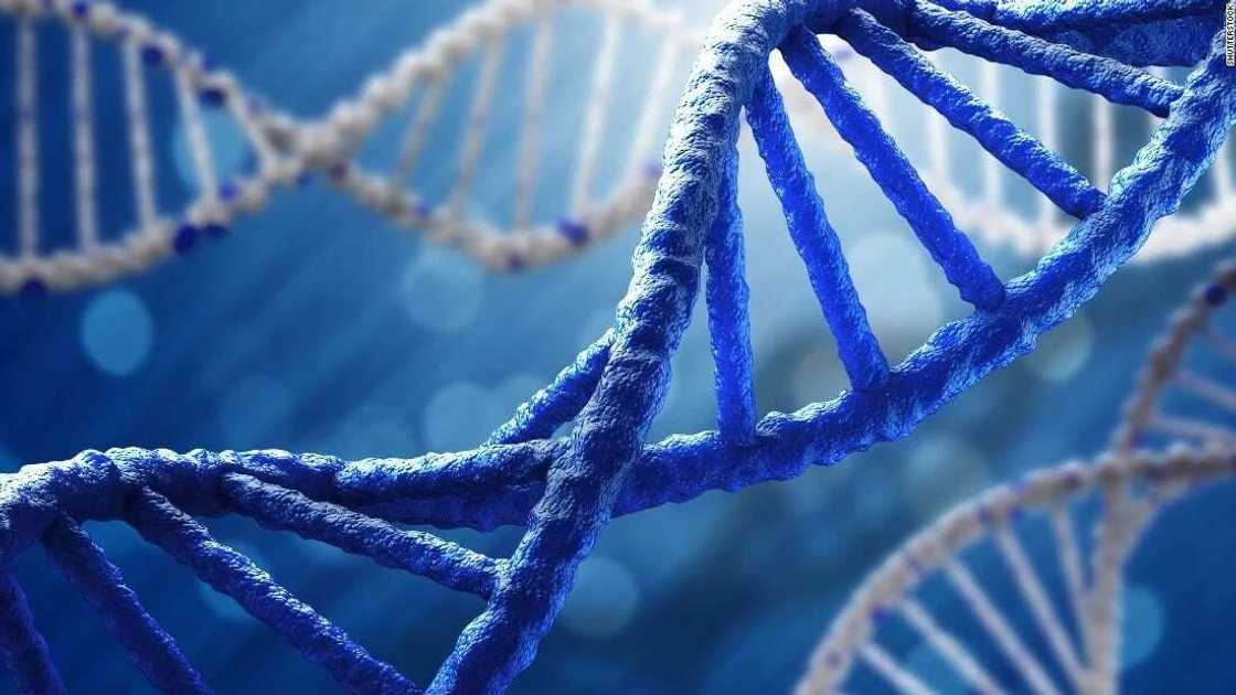 your genotype your genotype