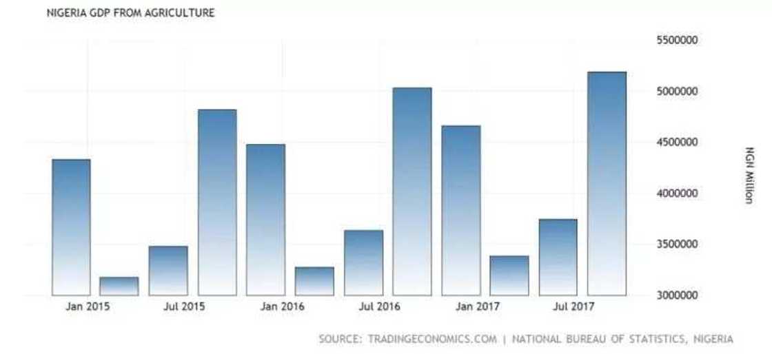 Agricultural sector and Nigerian economy