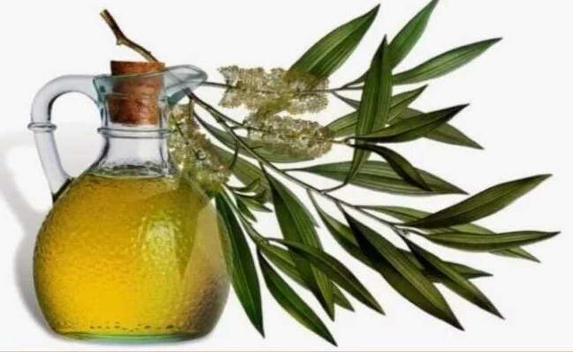 Using oils and balms Using oils and balms