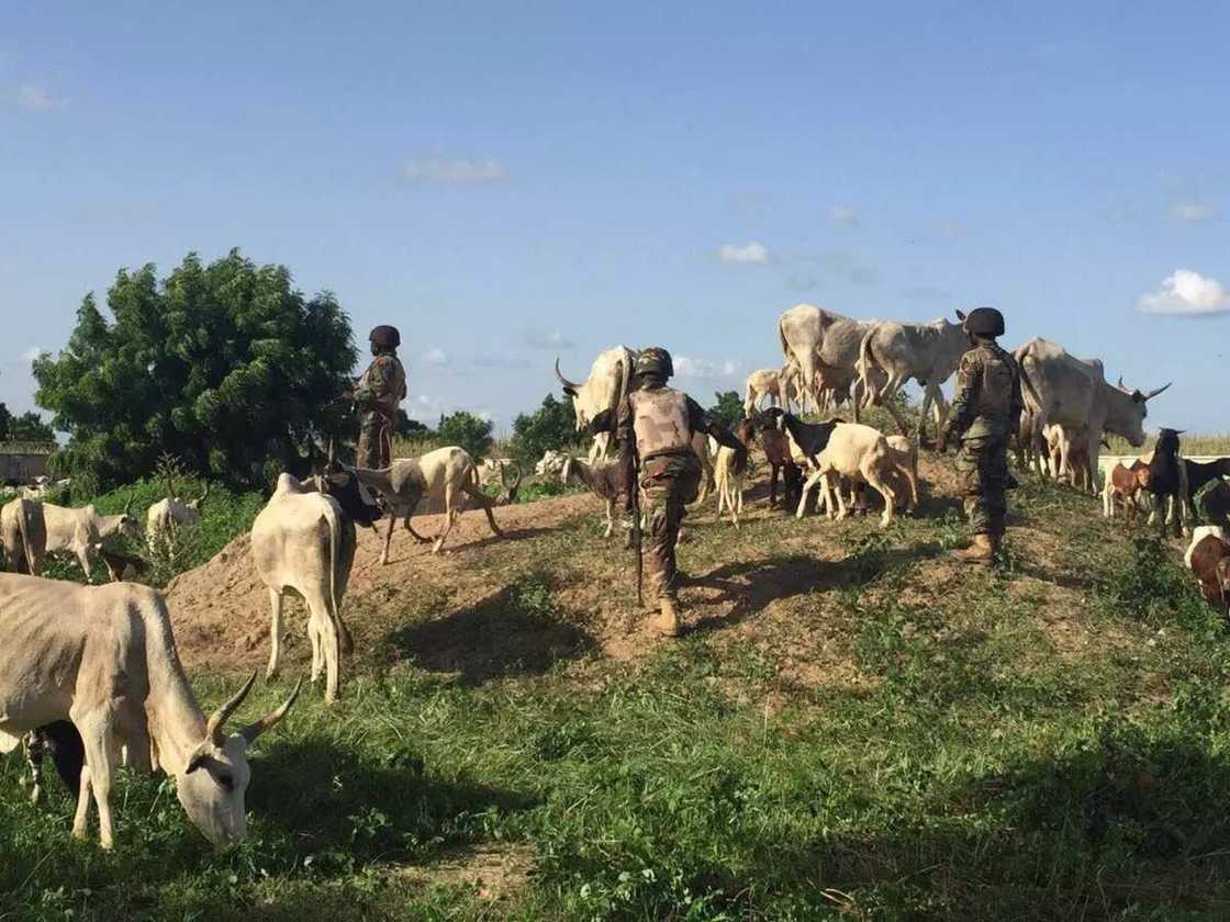 Zamu kawo hari: 'Yan bindiga sun aikawa garuruwa 4 sako a Arewa