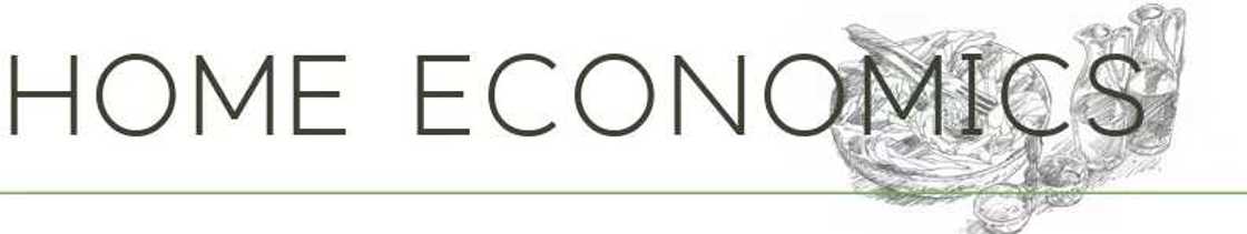 What is home economics What is home economics