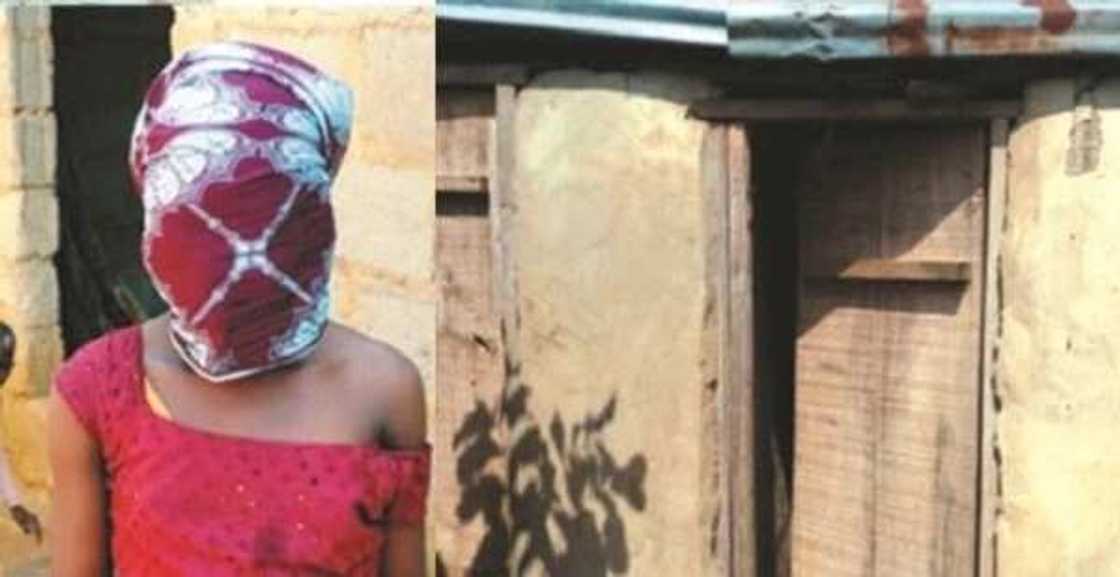 Girma ya fadi: An gurfanar da wani dan shekaru 52 bisa laifin wasa da nonon kwaila Girma ya fadi: An gurfanar da wani dan shekaru 52 bisa laifin wasa da nonon kwaila