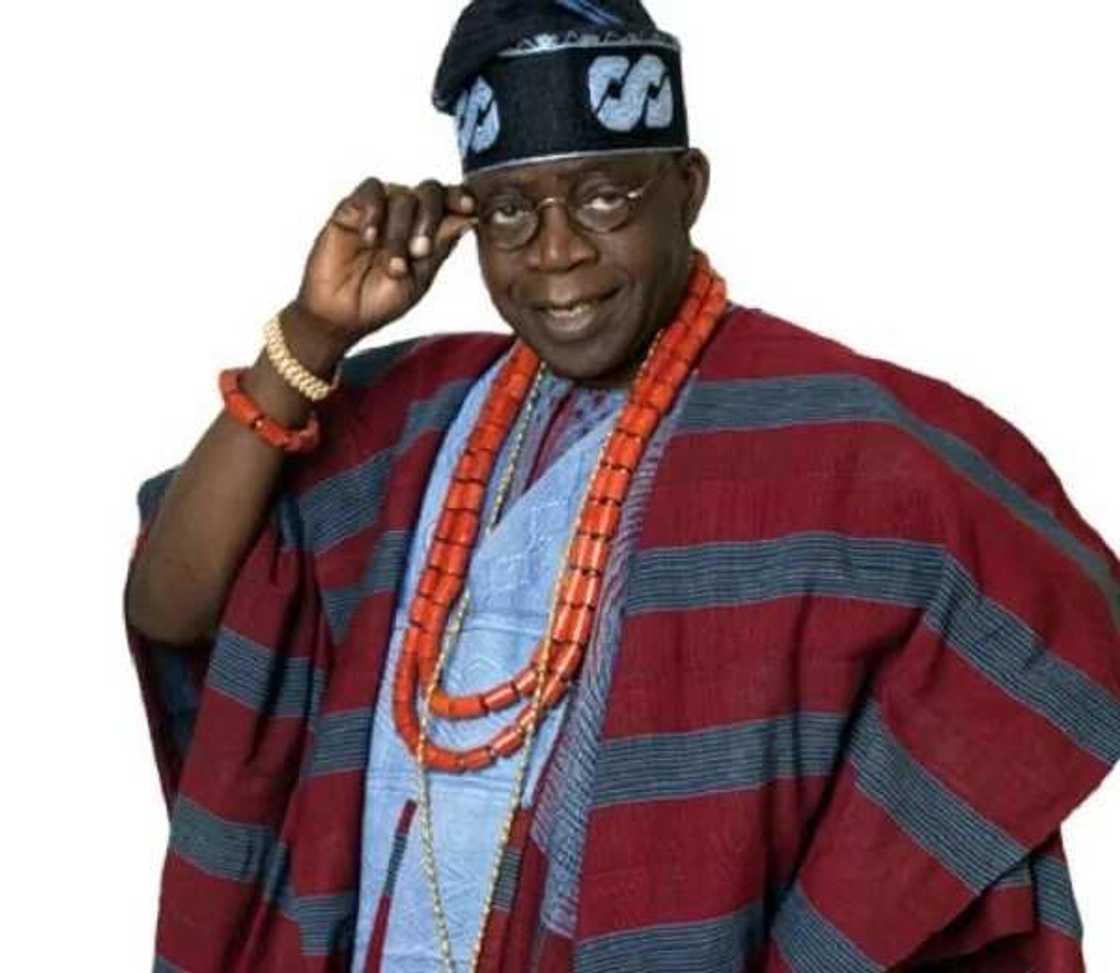 Tinubu reacts to report PDP Senators lashed at him