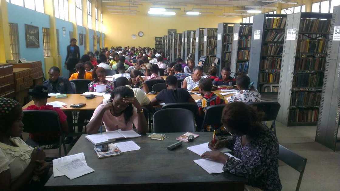 Students in library