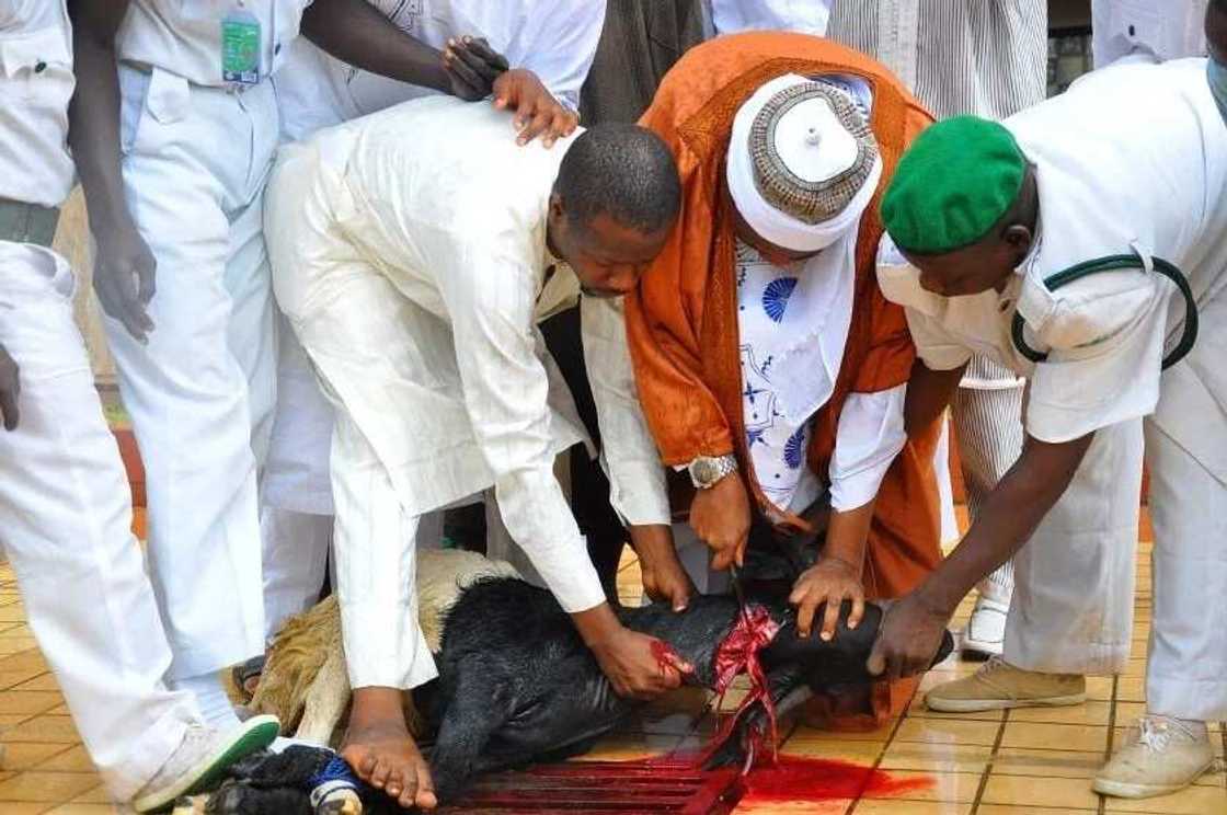 Abin da addini yace ayi Ranar babbar sallah a Musulunci Abin da addini yace ayi Ranar babbar sallah a Musulunci