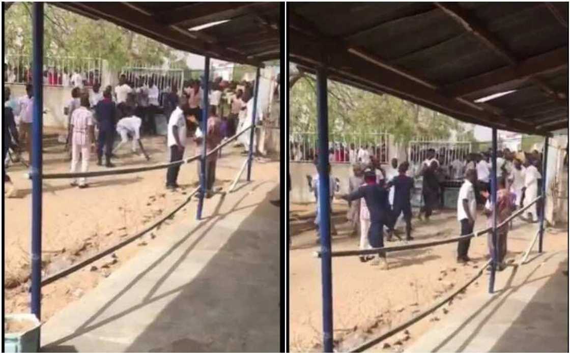 Borno students struggling to buy Jamb forms Borno students struggling to buy Jamb forms