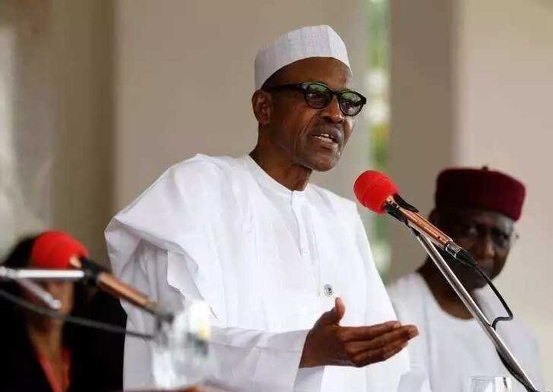 Buhari backs redesigning of naira notes Buhari backs redesigning of naira notes