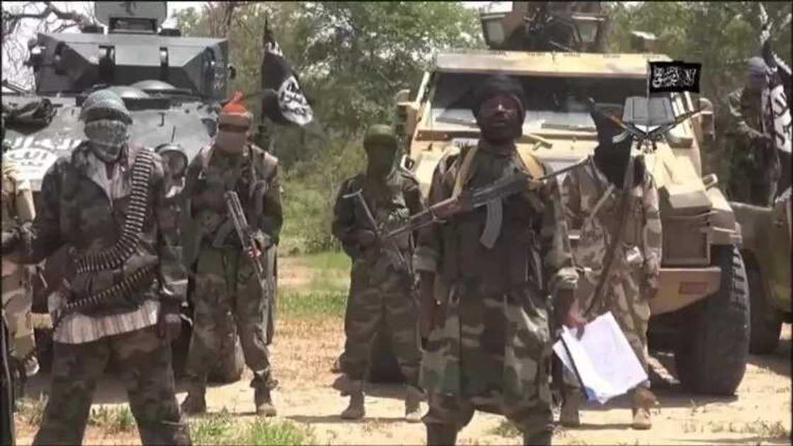 Boko Haram members / File Photo Boko Haram members / File Photo