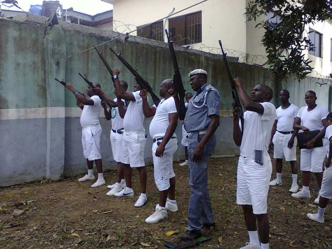 Custom service recruits Custom service recruits