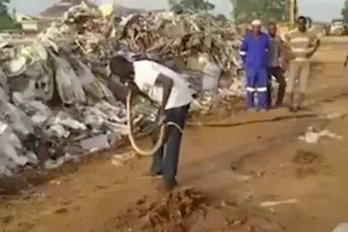 Man puts furious snake to sleep with his bare hands in seconds Man puts furious snake to sleep with his bare hands in seconds