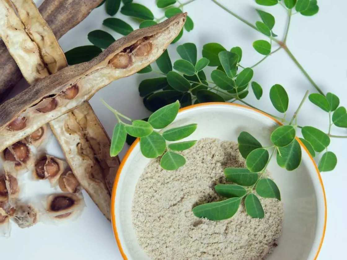 Moringa seed benefits