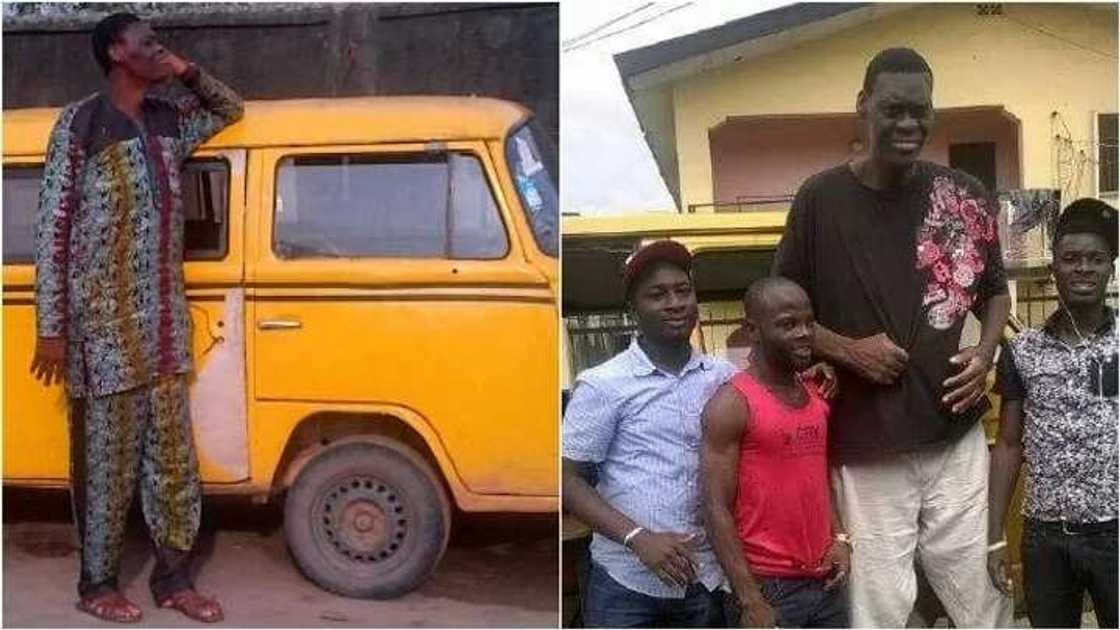 Zandoro: an gano mutumin da yafi kowanne ɗan Najeriya tsayi (Hotuna) Zandoro: an gano mutumin da yafi kowanne ɗan Najeriya tsayi (Hotuna)