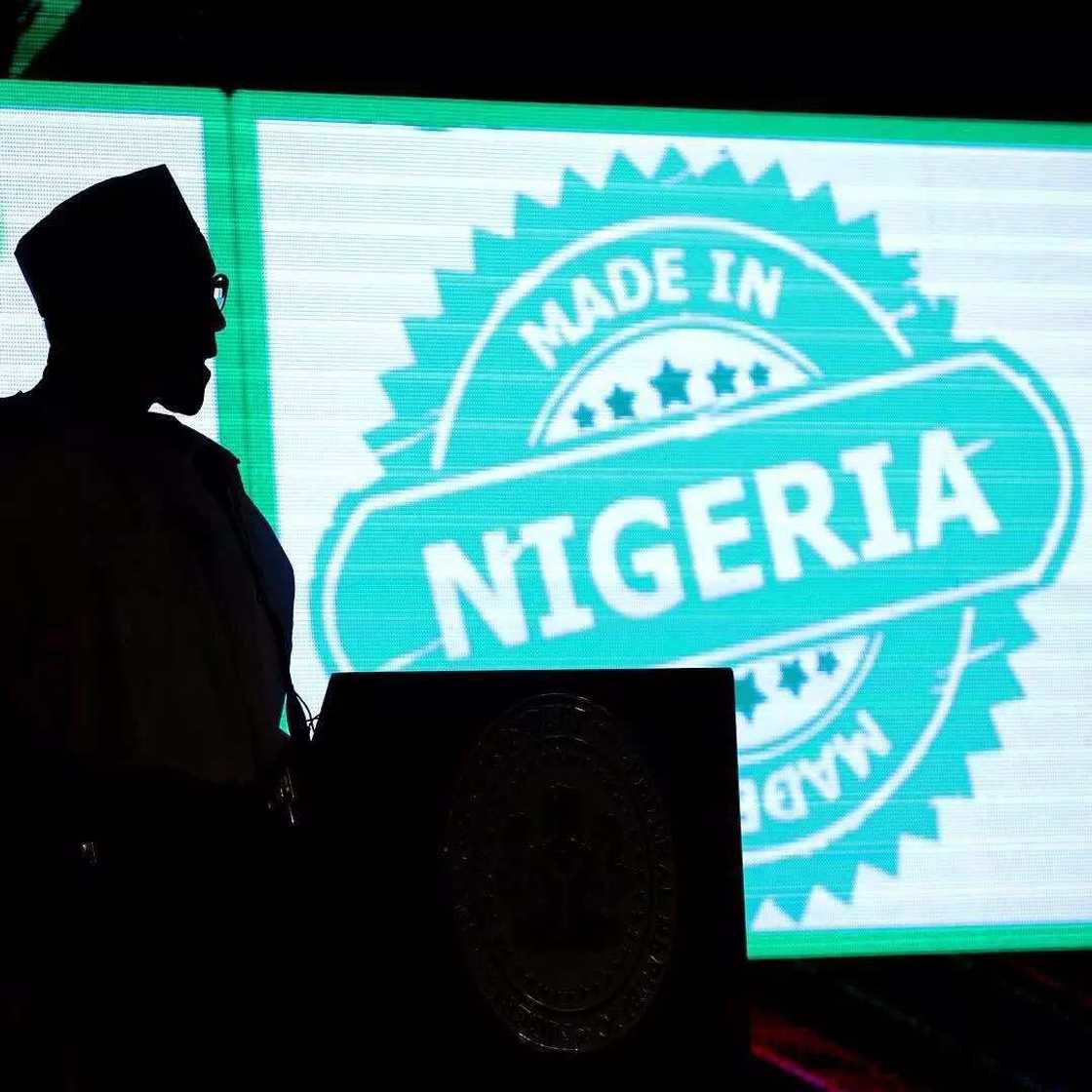 Minister Udoma disgraces President Buhari Minister Udoma disgraces President Buhari