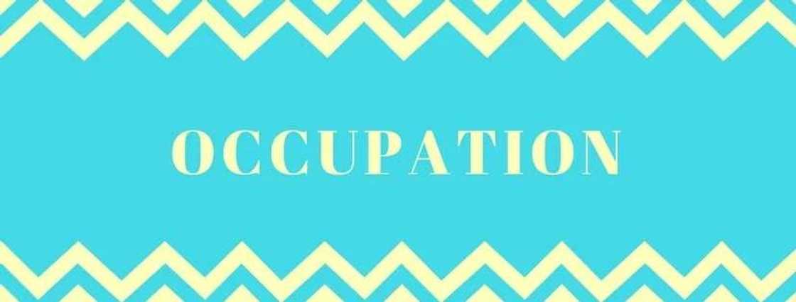 occupation