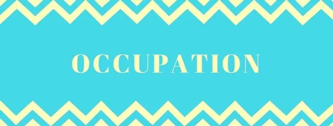 occupation occupation