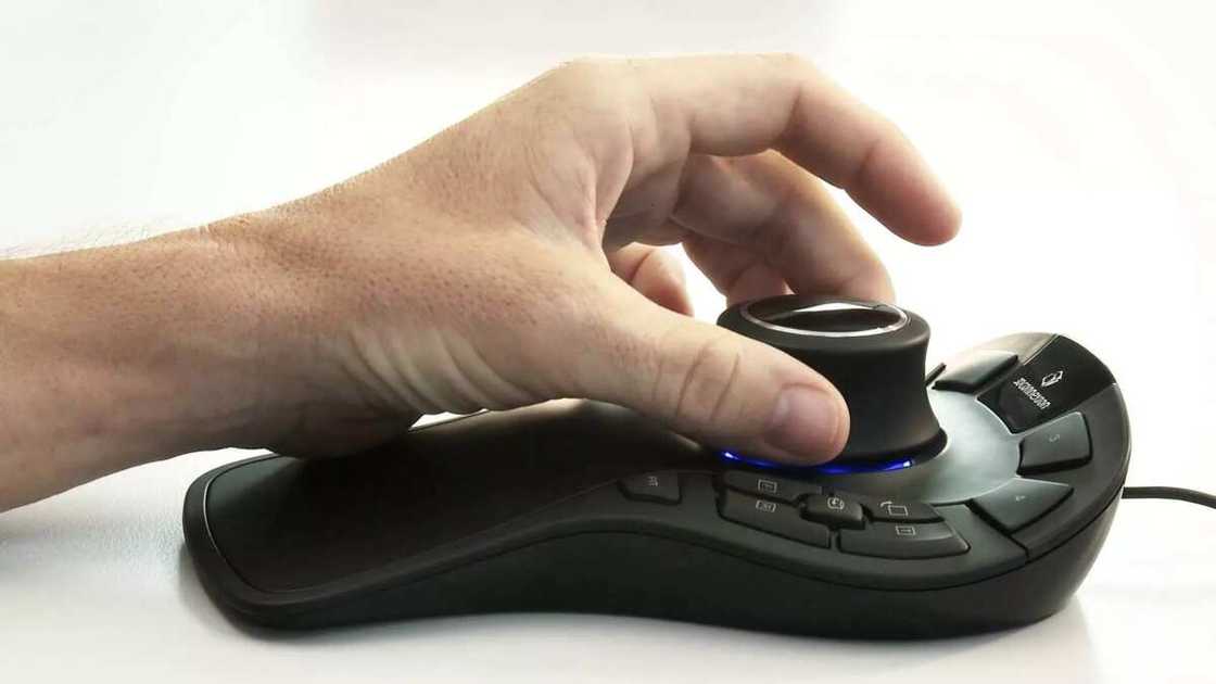 4. 3D mice 4. 3D mice
