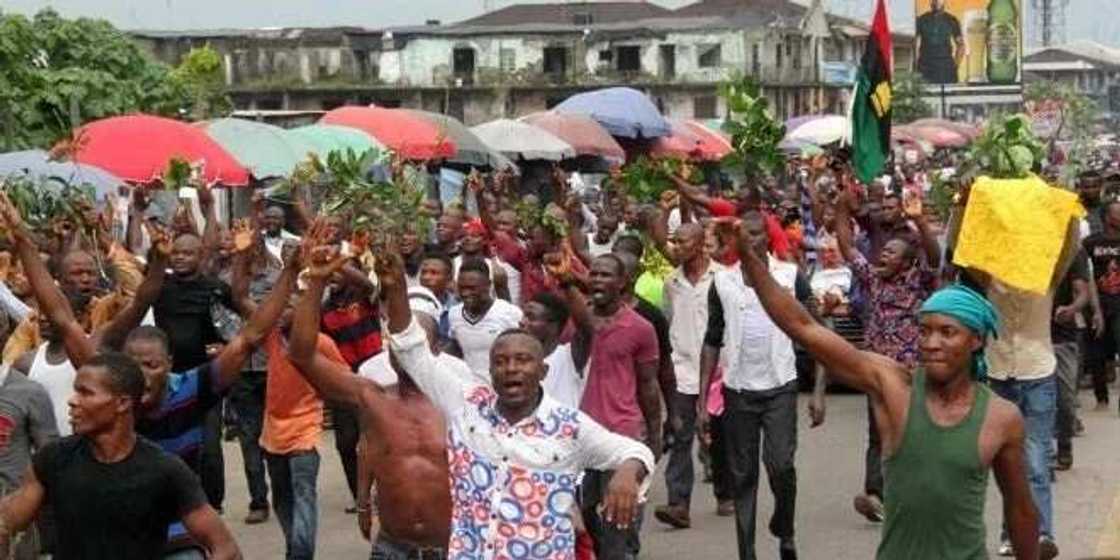 MASSOB mobilises for Biafra referendum