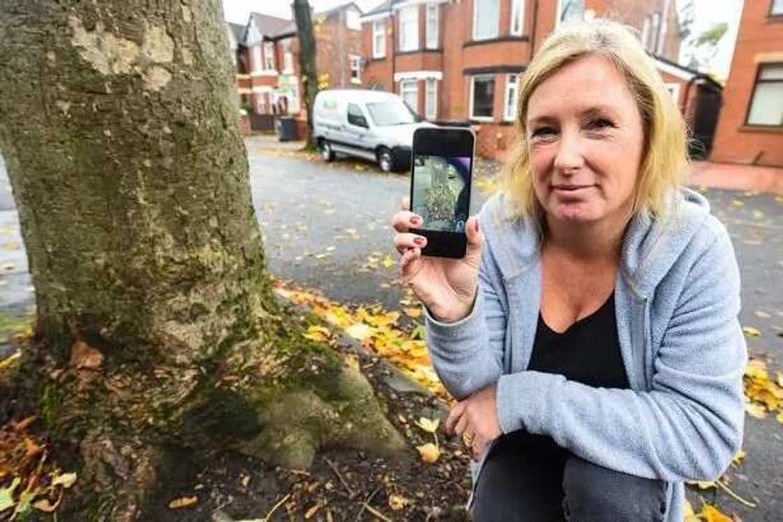Woman Discovers Virgin Mary In Tree Outside House Woman Discovers Virgin Mary In Tree Outside House